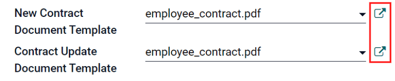 Detalles del contrato en las pestañas opcionales de un nuevo contrato.